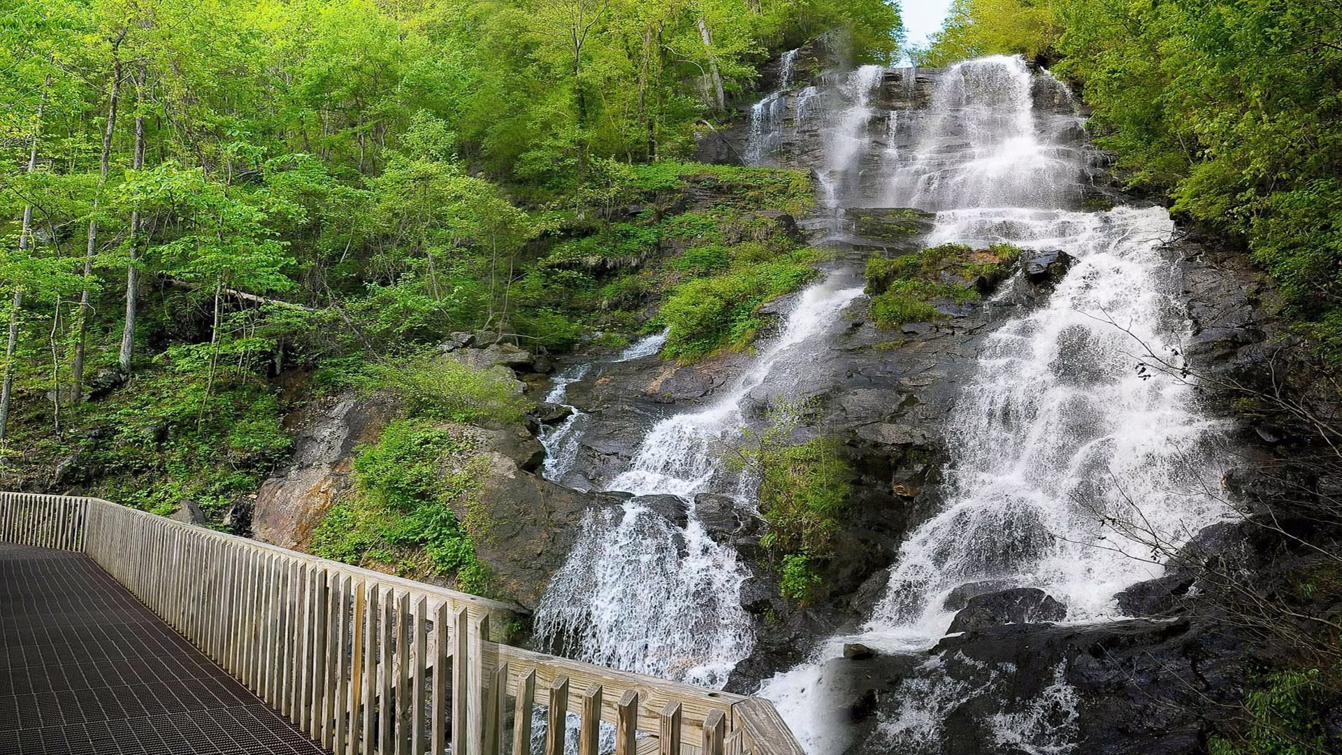 Hiking trails near Sky Reach Cabin in Ellijay, Georgia