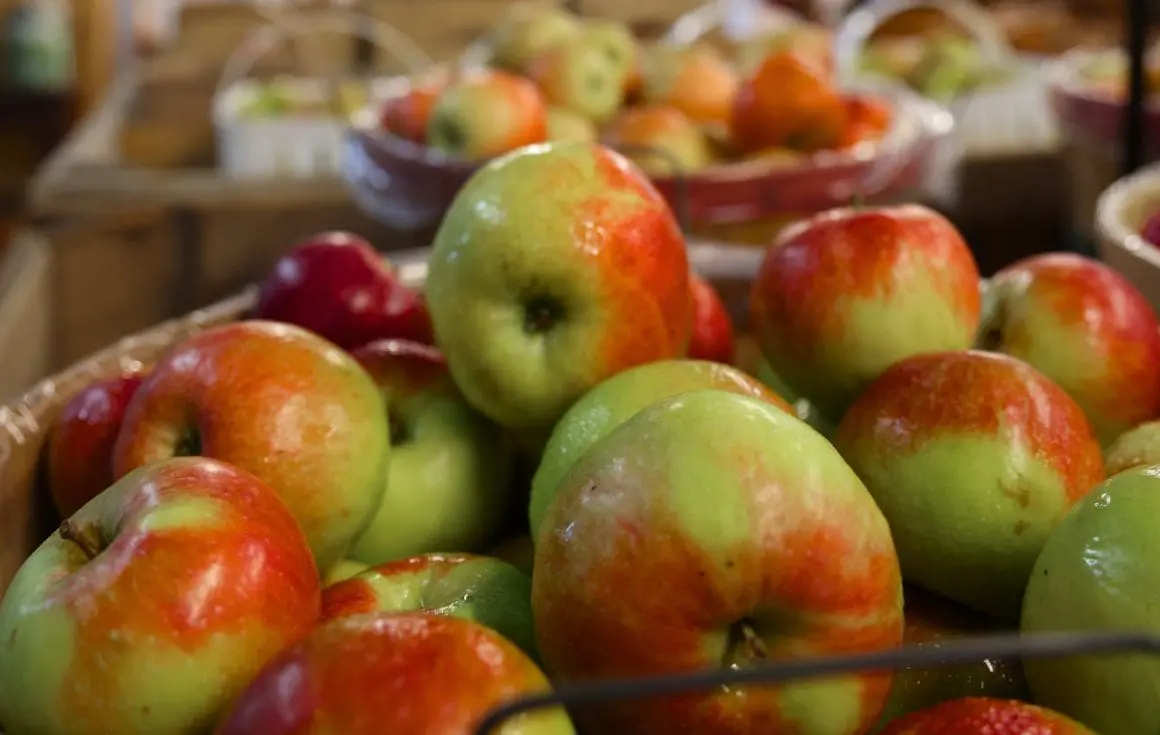 Ellijay apple orchards near Sky Reach Cabin