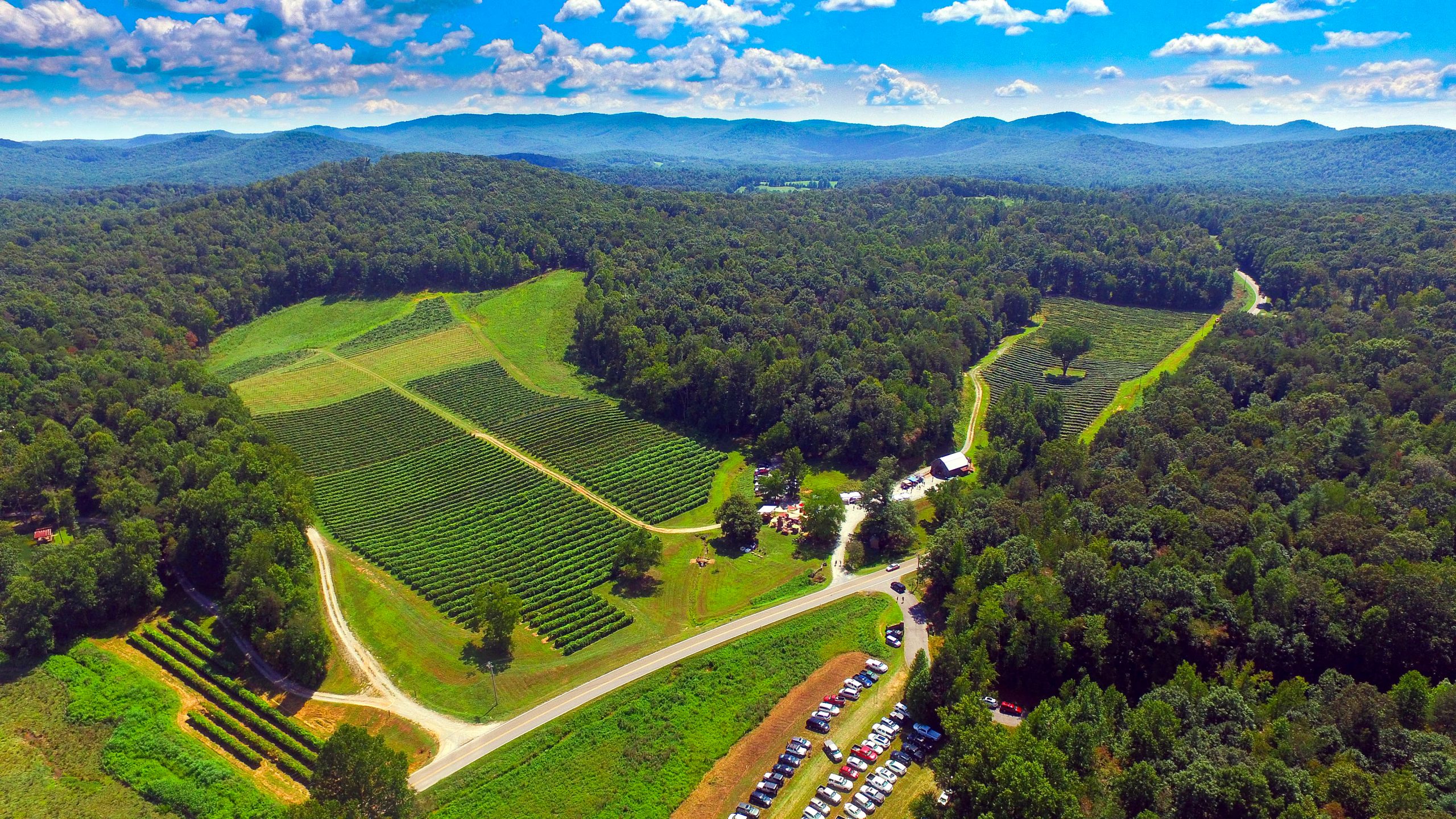 North Georgia wineries near Ellijay — close to Sky Reach Cabin
